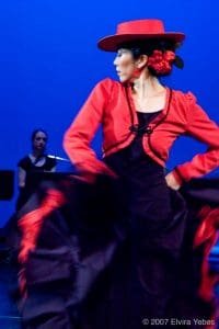 Mozaico Flamenco Vancouver