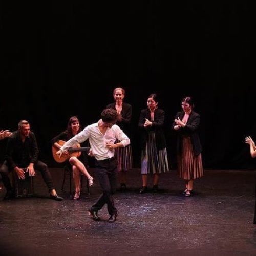 Flamenco-Rosario